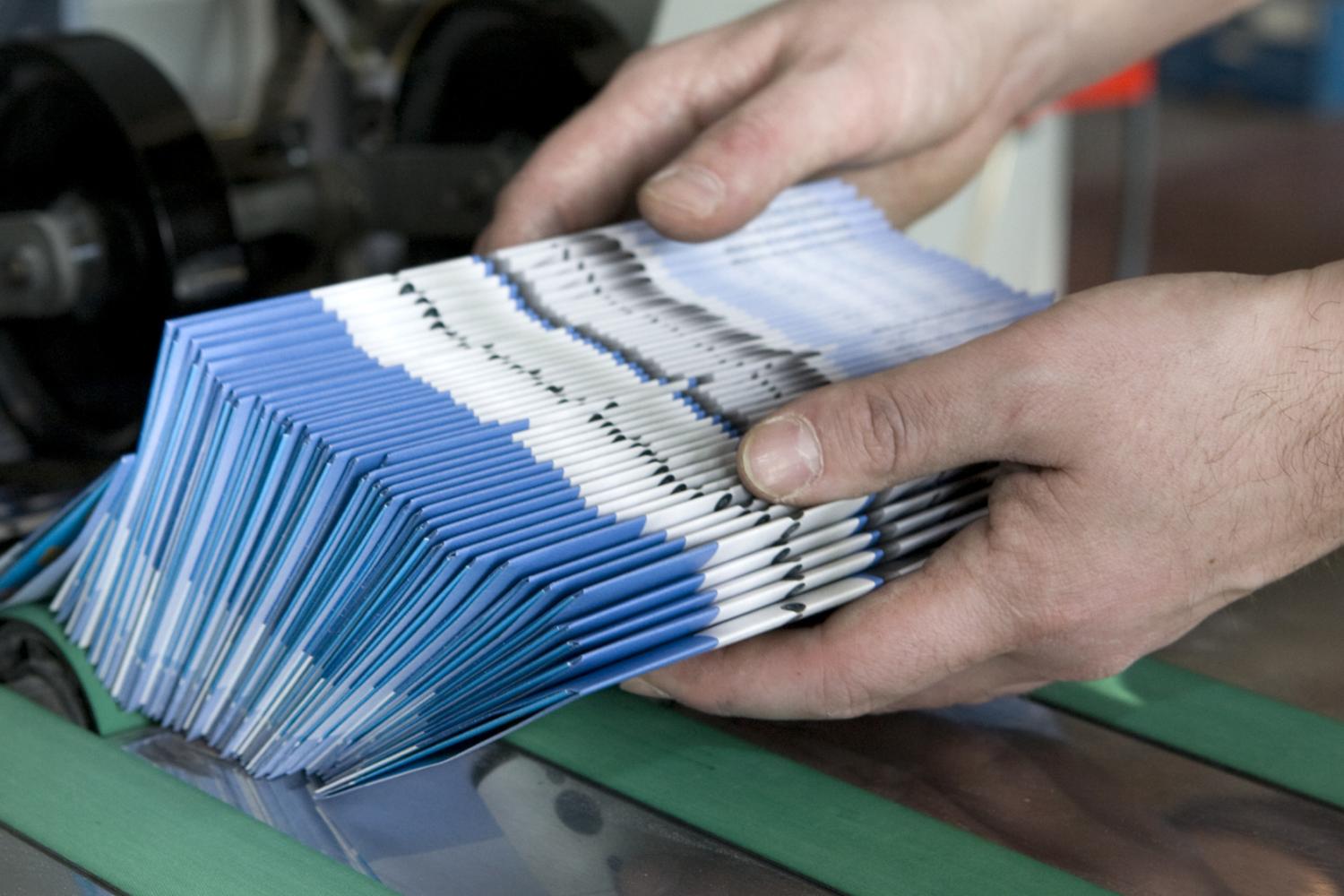 Photo of employee sorting mail